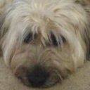 john fogleman - @jlfp90 - Twitter