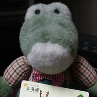 鰐隊長🐊 (@wani_twi) 's Twitter Profile Photo