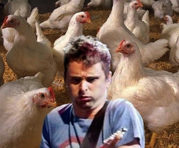 susan_arr's profile picture. никаких эклеров, детка