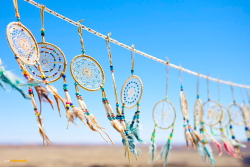 lover_nohate's profile picture. move on, be happy, or do something about it.