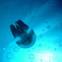 斎藤直樹 (@kyte_n) 's Twitter Profile Photo