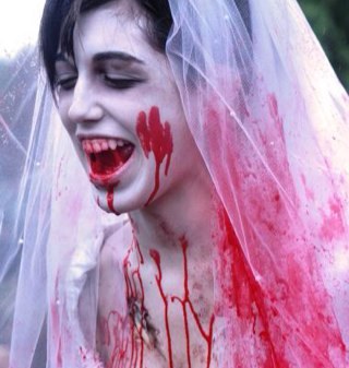 SimonCkelly's profile picture. 