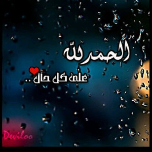 Memzz84's profile picture. ( رب إني لِما أنزلتَ إليّ من خير فقير)