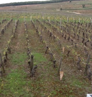 destlager's profile picture. 