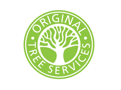 Bedford, Rushden, Sandy, St Neots & surrounding areas tree surgery services 01234 924964