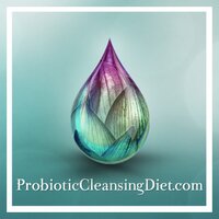 Probiotic Diet(@ProbioticDiets) 's Twitter Profile Photo
