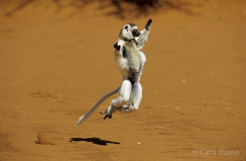 SkaRecrute's profile picture. Allez voir sur LinkedIn !