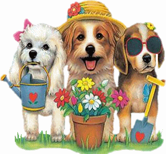 bnewtonteachHES's profile picture. 5th grade teacher