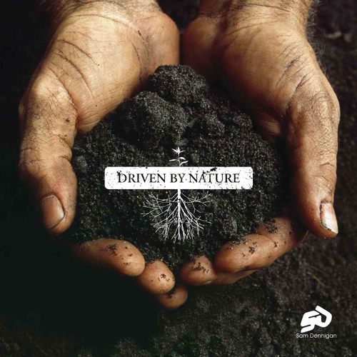 Dennigans's profile picture. Food and Logistics business based in Ireland, working globally.