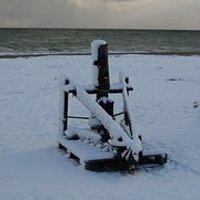 ARGANO PORTORECANATI (@arganoprecanati) 's Twitter Profile