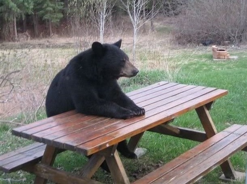 just chillin enjoying my time :)