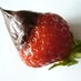 Kathrin P. (@sunny_bluemoon) Twitter profile photo Kathrin P. (@sunny_bluemoon) Twitter profile photo