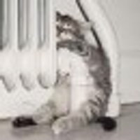 jan baeyens (@arduino_jantje) 's Twitter Profile