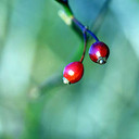 Dion Smith  - @o_ch9 - Twitter