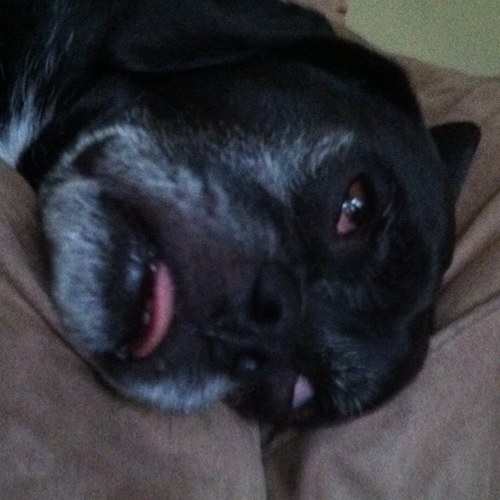 fishkicks's profile picture. 