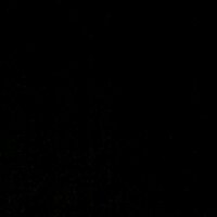 Mafatshe Phale (@mafatshe) 's Twitter Profile