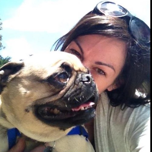 I am a graduate of the Doc Walkers Academy, a DogTec certified, PetTech CPR and First-Aid certified Professional Dog Walker.