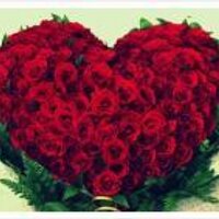 wisdom (@m961102) 's Twitter Profile