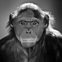 Marie-Georges PAGEL-BROUSSE (@mgesperluette) 's Twitter Profile Photo Marie-Georges PAGEL-BROUSSE (@mgesperluette) 's Twitter Profile Photo