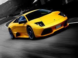 gabriel81089317's profile picture. 