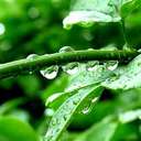 nancy ragan - @nancyragan1 - Twitter