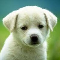 Maureen G (@veryforgetful) 's Twitter Profile Photo
