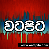 watapita's profile picture. 