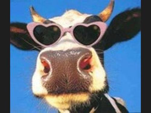 Ojo...Soy harto mas linda que mi Avatar.