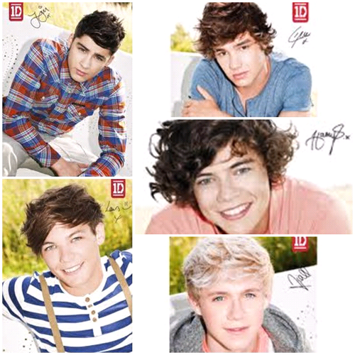 Im a Directioner!!! I LOVE Harry :) I think his voice is amazing! He's funny too! PLEASE FOLLOW ME!! I'll try to follow back... I need more followers plz...