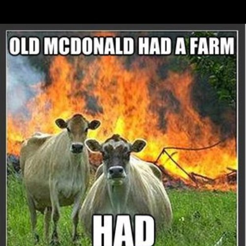 Bootsaregood's profile picture. So it goes.