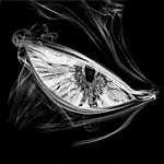 MeShy_'s profile picture. 