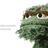 Larrandev's profile image