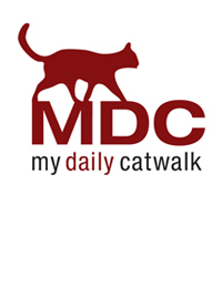 MYDAILYCATWALK's profile picture. Der Modelkurs für's tägliche Leben. Dieses innovative Persönlichkeits-Training führt über den Laufsteg zu:
Mehr Persönlichkeit. Mehr Erfolg.