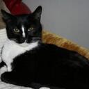 Brianne Nelson Hager - @Briannehager - Twitter