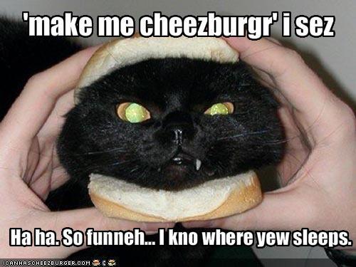 shalan17's profile picture. i really love pengable and i love wwe wrestling