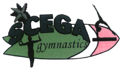 SCEGA Gymnastics 