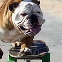 chris estill - @sunnyysky - Twitter