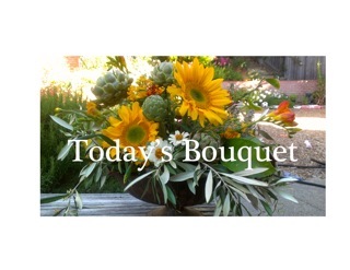todaysbouquet's profile picture. My organic artisan bouquets are a creative expression of my garden, and my muse. Celebrate today with a garden bouquet!