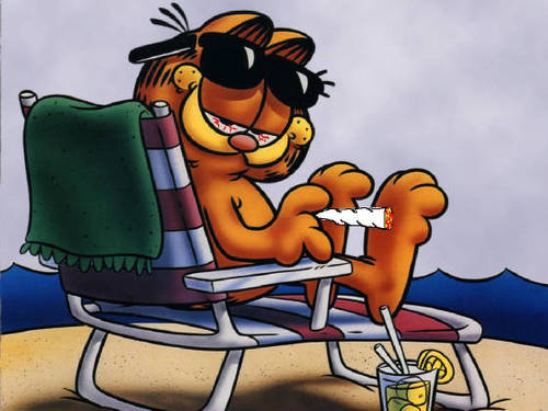 My Priorities in life . Smoke Weed, Eat Lasanga, Fuck with Odie, Piss John off & Sleep & Repeat #TeamStoner
