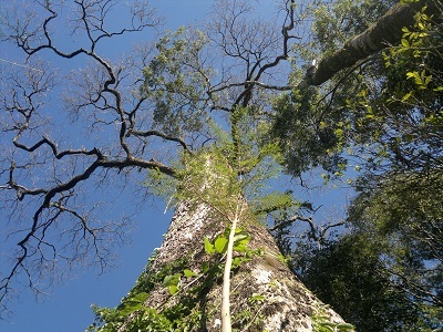 JaciMarti's profile picture. 