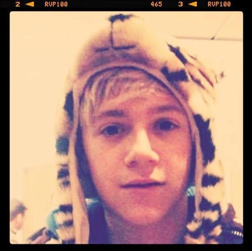 @niallofficial is my lovely cookie ♥♥
follow back :)