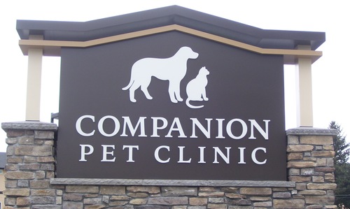 Companion pet clinic coupons