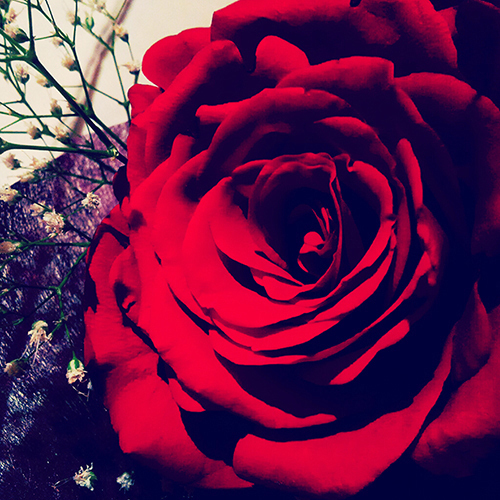 Lonely_Soul_a's profile picture. 