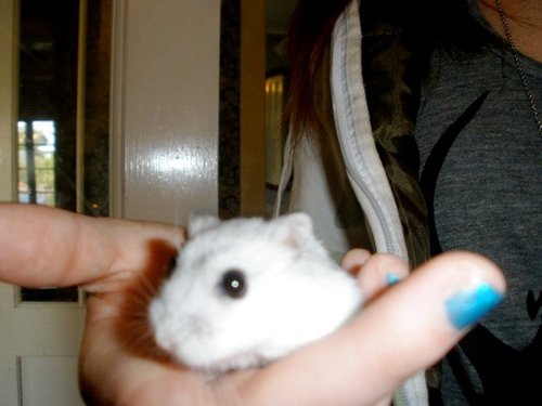 I am a small creature with googly eyes, I love beets and fruit! I also love being cool!
http://t.co/EXRuSmt7AI