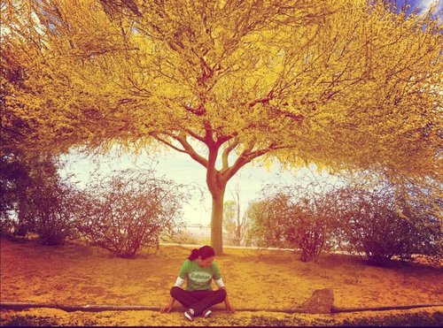 seanlee37's profile picture. keyboardist of @theveragroove | phoenix, arizona | #desertreggaerocknroll