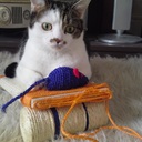 KATE SHARKEY - @kate_sharkey - Twitter