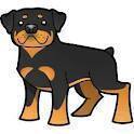 i love my baby rotty, Archie. he'll be 2 soon, but still my babe