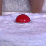 SS6whatelse's profile picture. What else ?