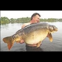 Rob Hales (@robhales2) 's Twitter Profile