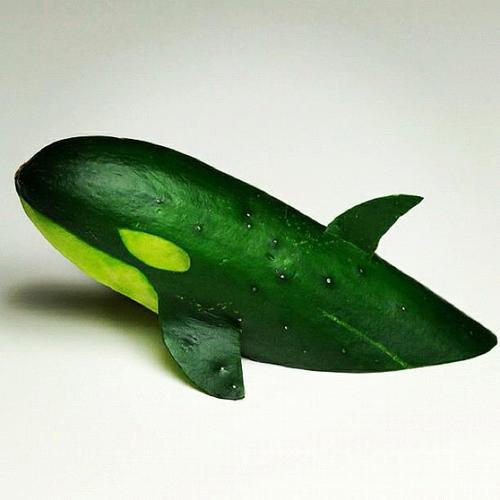 SciencePorpoise's profile picture. RTs and reply guy. very few original posts.